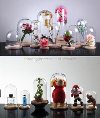 China Viable Home Decoration Clear Glass Cloche with Wood Base for sale