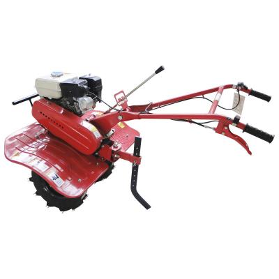 China TRACTOR walking tiller 5HP Gasoline engine for home , lightweight tiller for sale