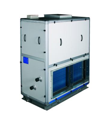 China Hotels Reputable HVAC Cool Air Handling Unit AHU Equipment for sale