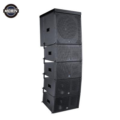 China Professional TW-12 Line Array Speaker Outdoor Sound System Cabinet for sale