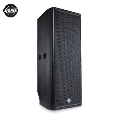 China No Exquisite High Standard of Workmanship in Quality Tower Subwoofer Speaker Box for sale