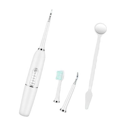 China Home& Hotel& Travel Manufacturer Wholesale IPX6 Silicone Waterproof Silent Travel Electric Toothbrush for sale