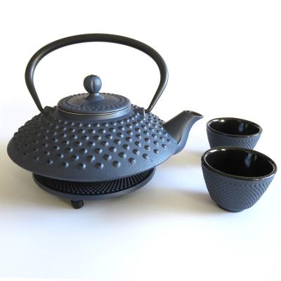 China Sustainable Japanese Noggin Cast Iron Teapot Set With DD800 Infuser for sale