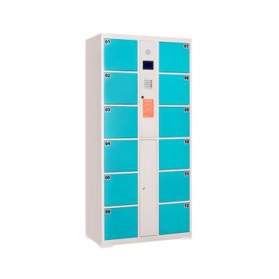 China Supermarket Office School Hotel Gym Bathroom 12/20/24/36 Door Package Electronic Locker Smart Steel Electronic Storage Locker for sale