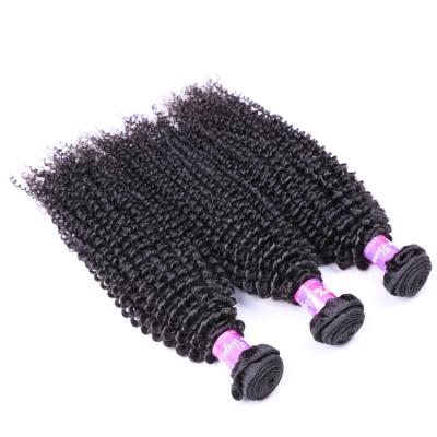 China Factory Wholesale Brazilian Curly Hair Extensions 9A 100% Brazilian Virgin Hair Weave Remy Hair Weave Kinky Curly Brazilian Kinky Curly for sale