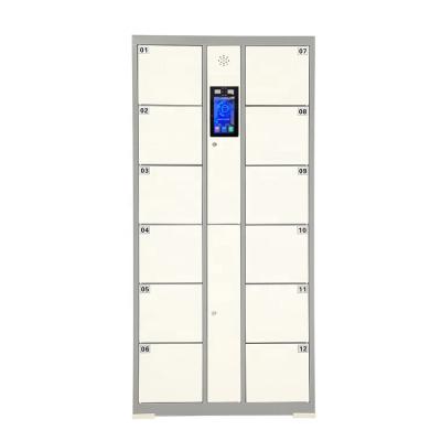 China automatic locker digital lock steel electronic door locker beach Face recognition electronic locker for sale