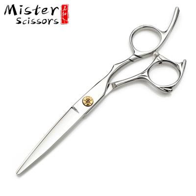 China Professional Best Hair Cutting Scissors 6