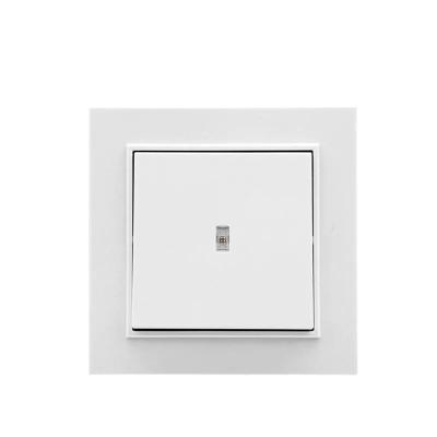 China Home Switch 1 Strip 10AX 1 Way Luxury Lamp Switch With LED With Socket Luxury Wall Hanger Switch China Product Supplier Electric Wall Switches for sale