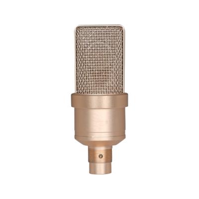 China Professional Headphone Microphone TLM 102 Condenser Microphone Studio Condenser Sound Recording Microphone for sale