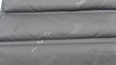 China Woven Dyed Plain Windproof Keep Warm Outdoor Down Fabric 230G for sale