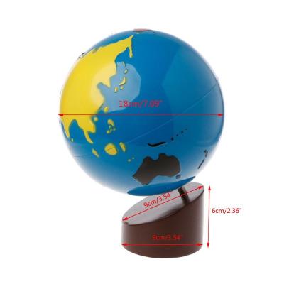 China Montessori Teaching Globe Of Continents For School Educational Equipment Eye-protecting Color for sale