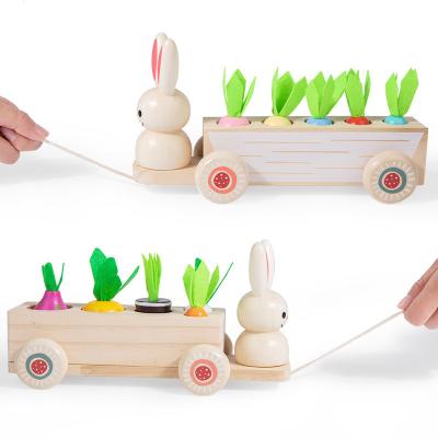 China Wood 2022 creative wooden children's early education toys two-in-one matching pull radish rabbit pull cart fruit toys for sale