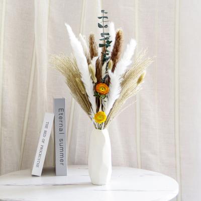 China Natural Plants Dried Flower Plants Natural Pampas Grass Bouquets For Wedding Kitchen Yard Decor Boho Pampas Grass Home Living for sale