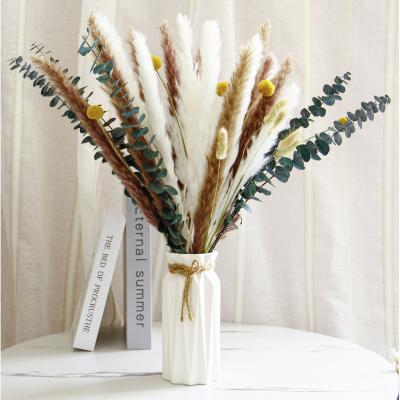 China Natural Plants Wedding Decoration Dried Golden Ball Eucalyptus Leaves Dried Flower Bouquets By Bunny Tail Pampas Grass Natural for sale