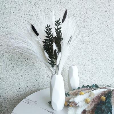 China Natural Dry Natural Plants Pampas Grass The White Pompas Grass Decorative Vase 17