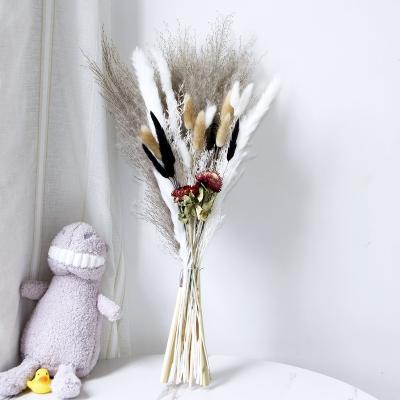 China Natural Dried Pampas Grass Flower Bunch Dried Bunny Tail Grass Small Pampas Grass Bunches for sale