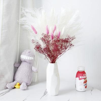 China Natural Plants Dried Flower Decoration Bouquet Wholesalers Pampas Grass The Little Bunny Tail Grass Bouquet for sale