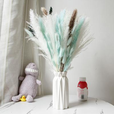 China Natural Pampas Grass Customized Small Large Eucalyptus Dry Bunny Tail Grass Flower Pampas Grass Bunches for sale