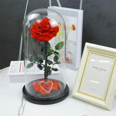 China Wholesale Hot Sale Long Stem Rose Dome Preserved Eternal Flower Eternal Rose in Glass Dome 4.7*4.7*7.5 in/12*12*20 cm for sale