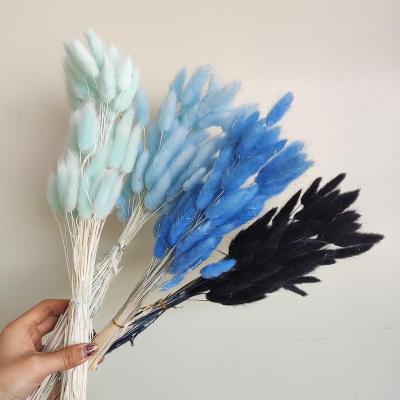 China Low price hot selling home flower decorative wedding dried flower multi-colored hares tail bunny tail for home decor for sale