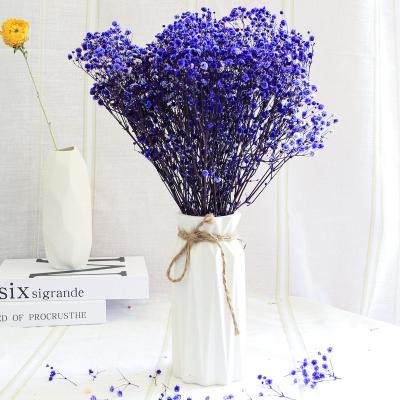 China Natural Wholesale Dry Flower Plant Preserved Baby's Breath Gypsophila For Flower Arrangements Decorations for sale