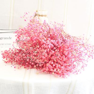 China Yunnan Natural Plant Preserved Flowers Preserved Gypsophila Baby's Breath For Wedding Flower Home Decor for sale