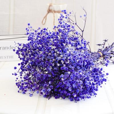 China Natural Preserved Dried Flowers Gypsophila Bouquet Baby's Breath Flower From Natural Plant for sale