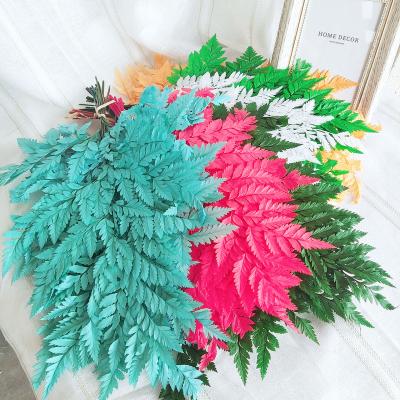 China Factory Supply Preserved Fern Leaves Alpine Fern For Home Wedding Bouquets Gifts Crafts Decoration 25*40 cm Materials for sale