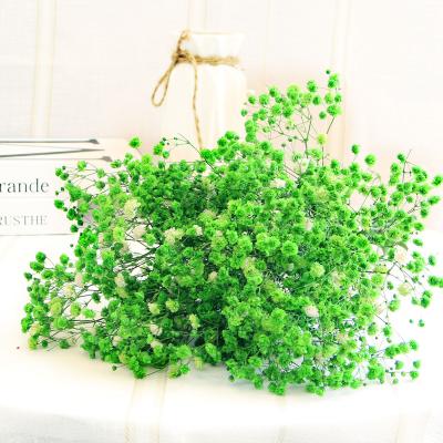 China 2022 Best Selling Natural Amazon Plant Long Lasting Baby's Breath Flower Gypsophila For Wedding Decor for sale