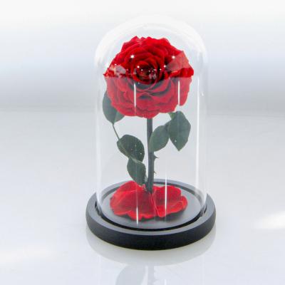 China Amazon Hot Sale Eco-friendly Red Flower Rose Wedding Decoration Glass Dome Eternal Rose for sale