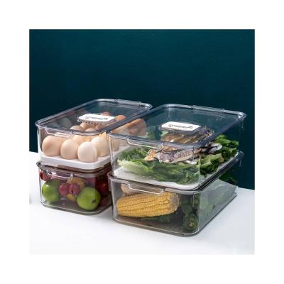 China And Storage Tank Modern Airtight Food Organizer Kitchen Pantry Transparent Pet+pp Storage Box for sale