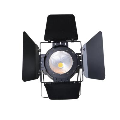 China Variable Speed ​​(1-30Hz) High Power Stage Studio Light 1pcs*100W Indoor Warm White DMX Cool White For Stage Event for sale