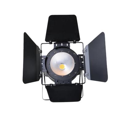 China Speed ​​(1-30Hz) Variable Speed ​​Stage Light Studio Light DMX 100W RGBW 4IN1 Aluminum Housing COB LED Par Light for sale