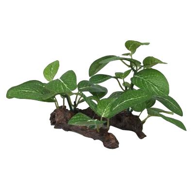 China Artificial Aquatic Plants Aquarium Decorations Viable Artificial Small Fish Tank Plants Used For Household And Office for sale