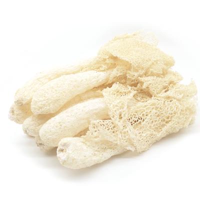 China Wholesale High Quality Dry Dictyophora Dried Indusiata/Bamboo Fungus Healthy Mushroom For Cooking for sale