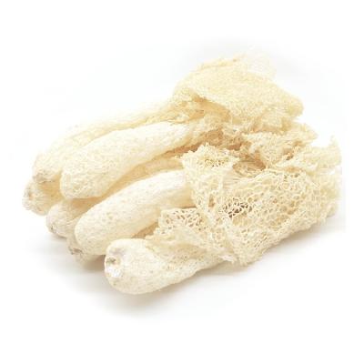 China Dry Selected Natural Phallus Impudicus Dried Bamboo Mushroom and ZhuSun for sale