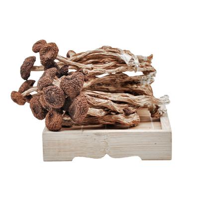 China Natural Agrocybe Aegerita Tea Tree Dry Edible Dry Mushroom Agrocybe Cylindracea for sale