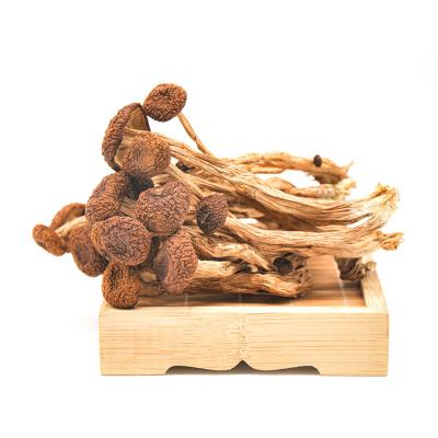 China Wholesale Natural Food Dried Agrocybe Aegirit Dried Tea Tree Mushroom Polar Sorthern Mushroom for sale