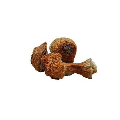 China Superfood Natural Dried Agaricus Blazei Whole Mushroom Dried Himematsutake Cogumelo Make Sol for sale