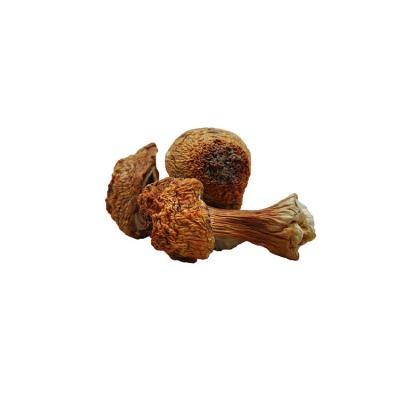 China Dry Goods China Natural Organic Food Dried Whole Agaricus Blazei Mushroom Matsutake for sale