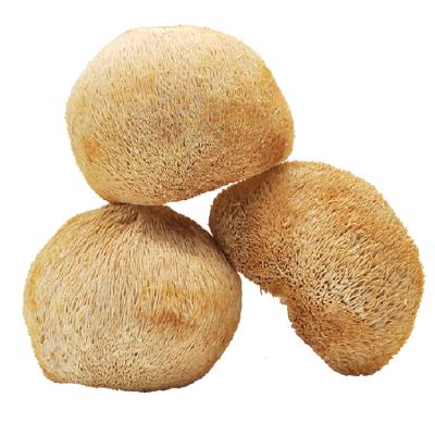 China Lion Mane Mushroom Dried Hericium Erinaceus Natural Wild Magic Dry Mushroom for sale