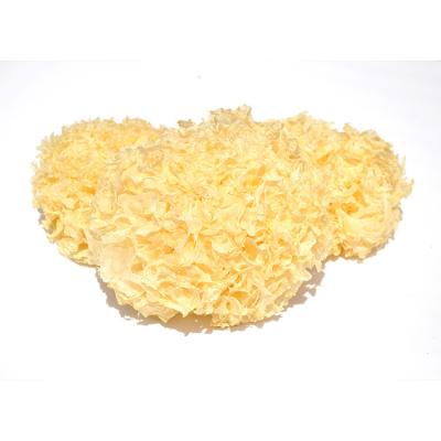 China Chinese Traditional Fuciformis Tremella Organic White Dried Snow Mushroom Zero Additives New for sale