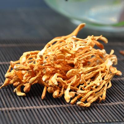 China Natural quality cordyceps militaris militaris cordyceps edible dry fungus militaris spread best price high cordycepin for sale