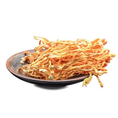 China Dried Naturally Dried Cordyceps Flower Chong Cao Cordyceps Militaris For Food for sale