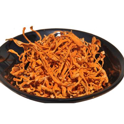 China Dry Relieve Asthma and Relieve Cough Cordyceps Militaris Flower India Cordyceps for sale