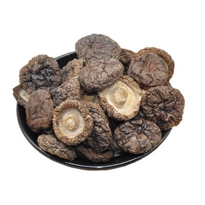 China Wholesale Price High Quality Organic Dry Shiitake Mushroom Food Dry Shiitake Mushroom Mushroom for sale