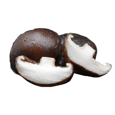 China Shiitake Dried Shiitake Mushroom Export Dried Mushroom Dried Mushroom Dehydrated Price for sale