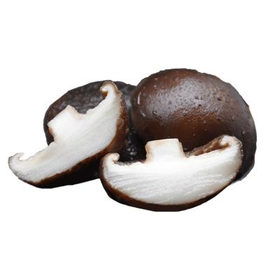 China Factory wholesale package 2-6cm vacuum sealed natural dried shiitake mushrooms for sale