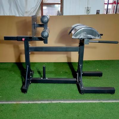 China 75*75*3mm espesor del tubo para adultos GHD silla romana máquina de gimnasio integrada desarrollador de jamón de glúteos en venta