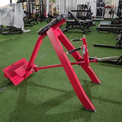 China Gym Exercise Equipment with Customization Bend Over and Pull Back Fitness Equipment for sale